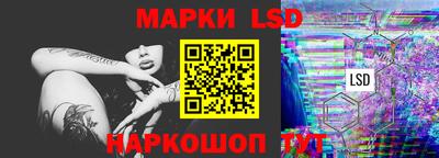 гидра Новодвинск