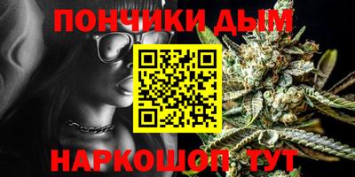 гидра Новодвинск