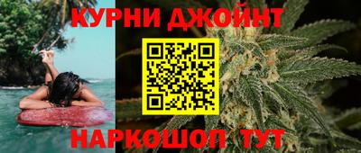 гидра Новодвинск