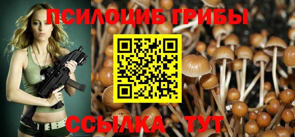 Псилоцибиновые грибы Psilocybe Ухта
